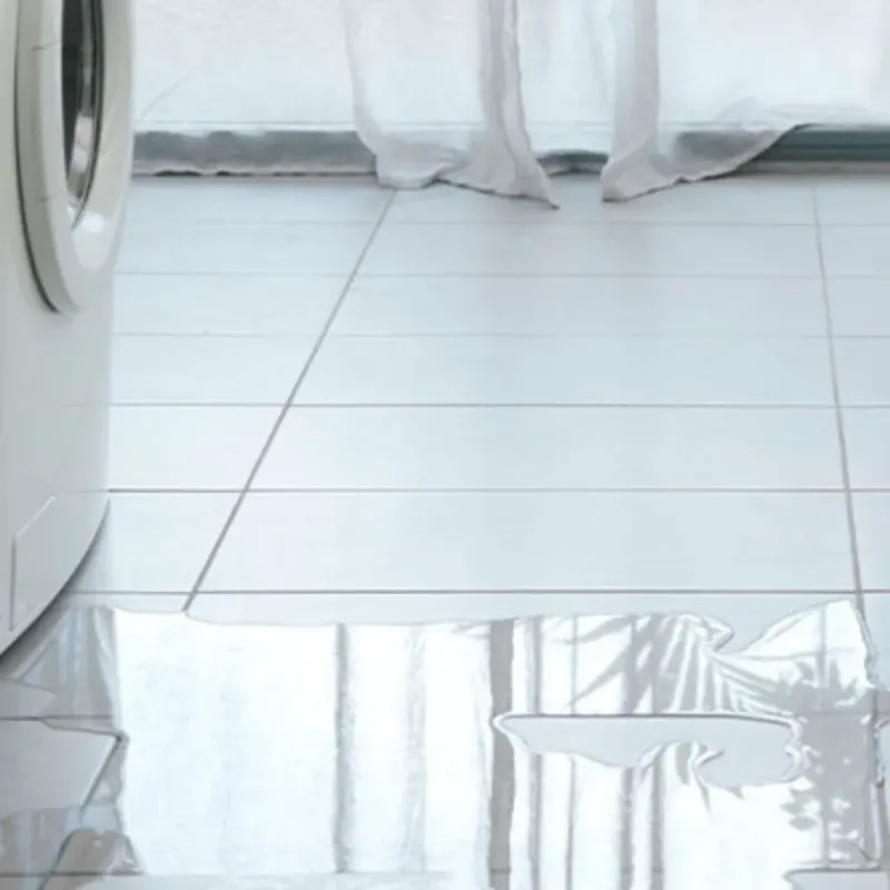 Appliance Leak Cleanup in Marion County, GA