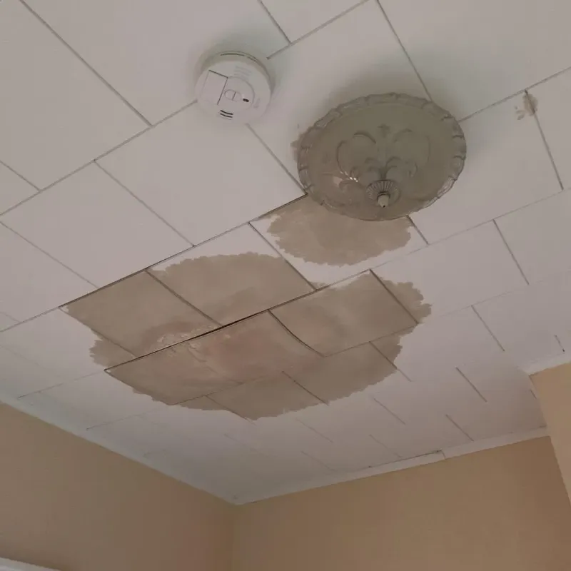 Ceiling Water Damage Repair in Marion County, GA