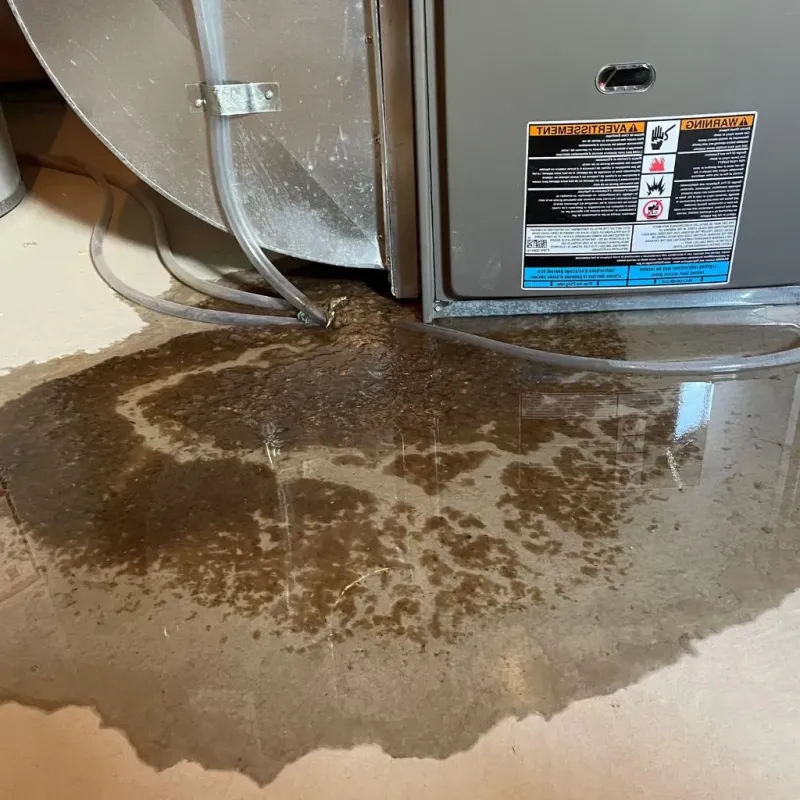 Pipe Burst and Leak Restoration in Marion County, GA