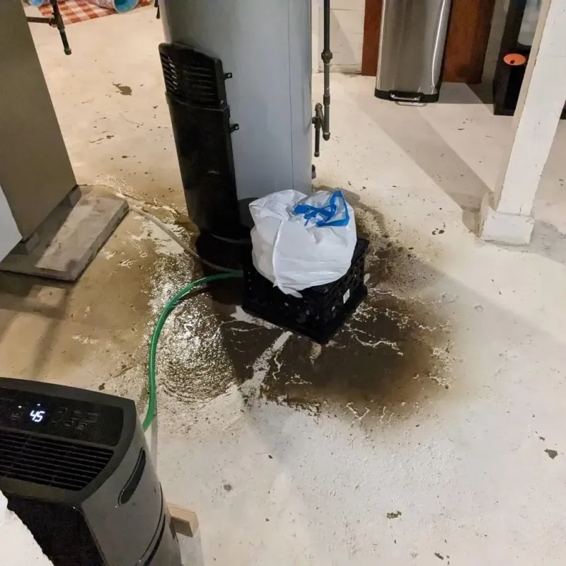 Sewage Backup Cleanup Service in Marion County, GA